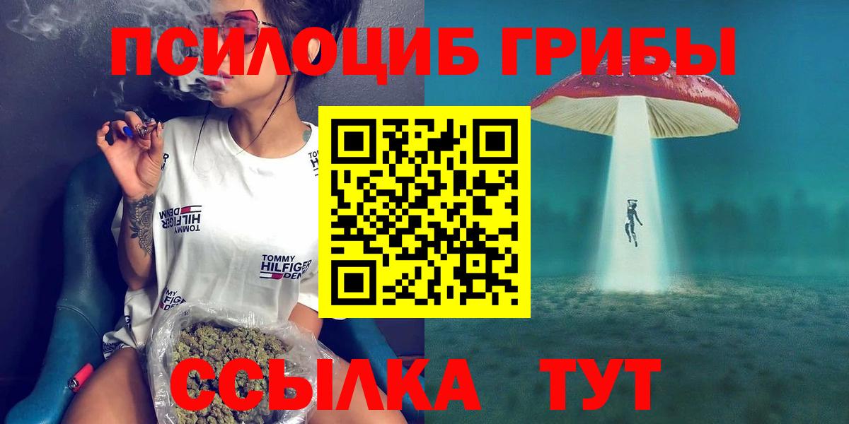 Галлюциногенные грибы Cubensis Сафоново